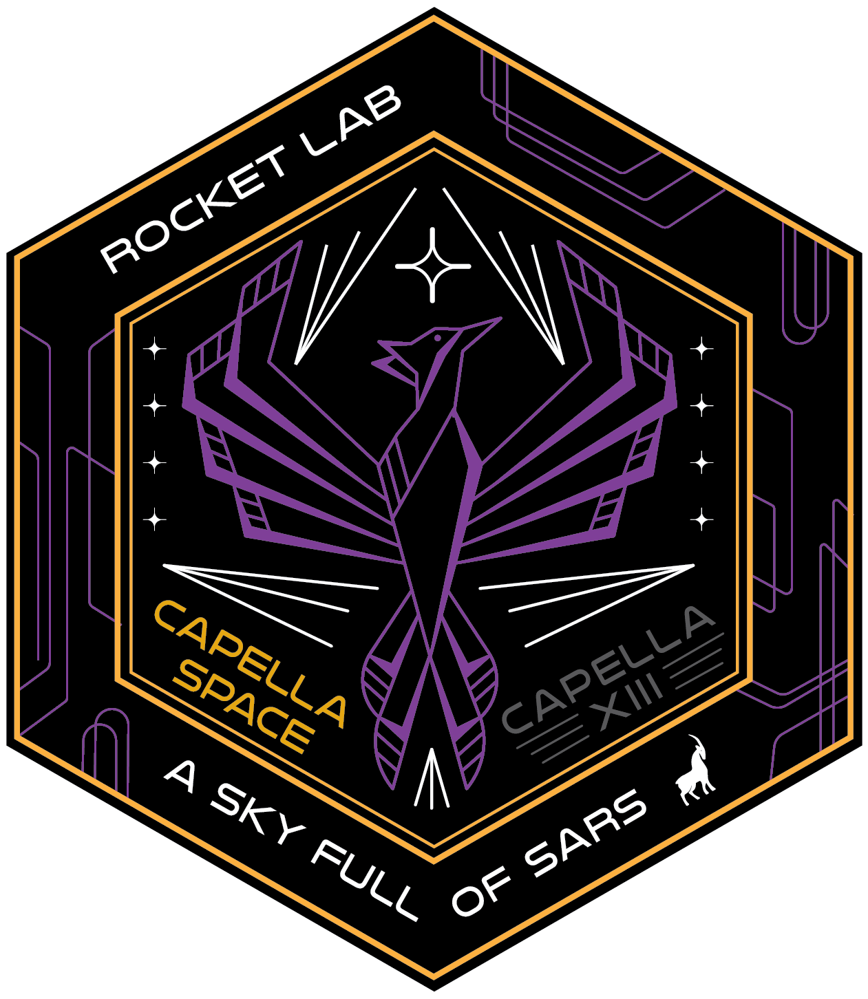 A Sky Full Of SARs