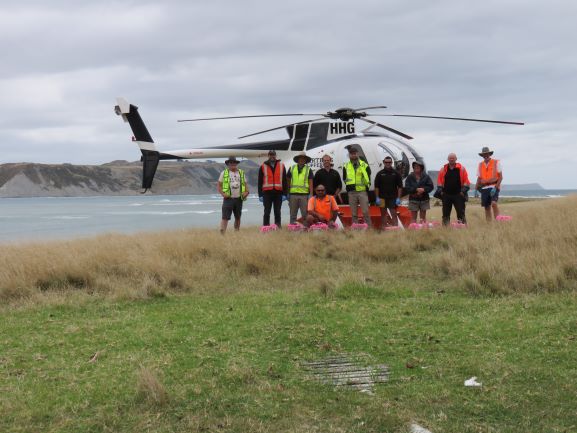 Pest Management on Mahia Peninsula