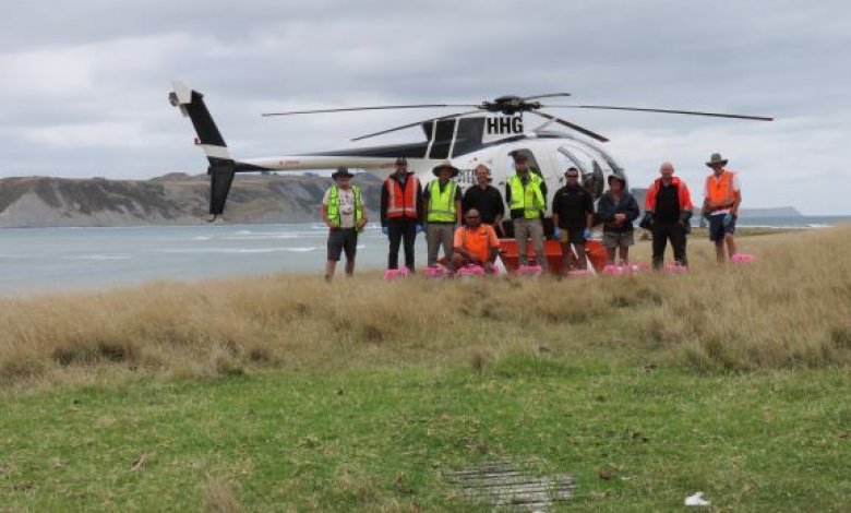 Pest Management on Mahia Peninsula